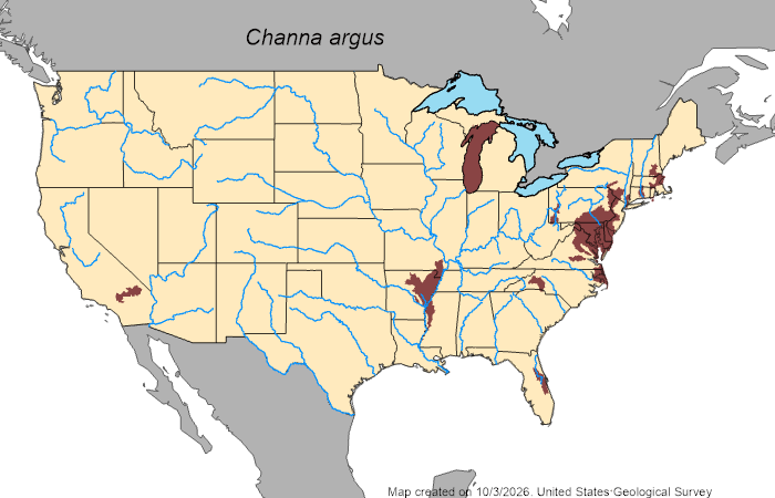 by 2026, introduced snakeheads had been found in multiple watersheds in the continental United States