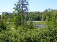 pond on GMU Fairfax campus