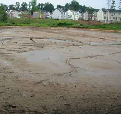 Lake Terrapin