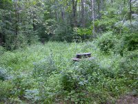 sanitary sewer needed for Lake Ridge development