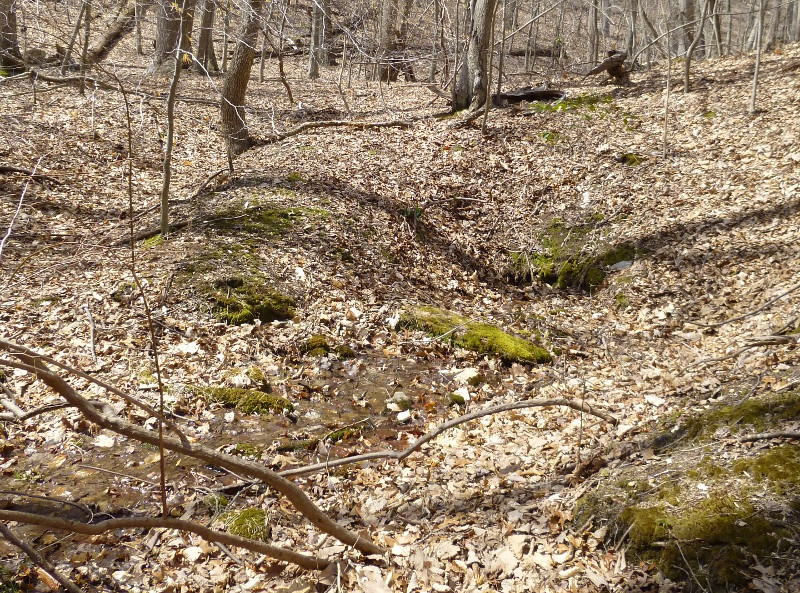 rain that falls on Bull Run Mountain at Thoroughfare Gap (Prince William County) emerges in a spring 100 feet lower in elevation
