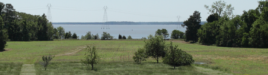the powerline route runs closer to historic Carter's Grove, and would have obvious impacts on the vista there