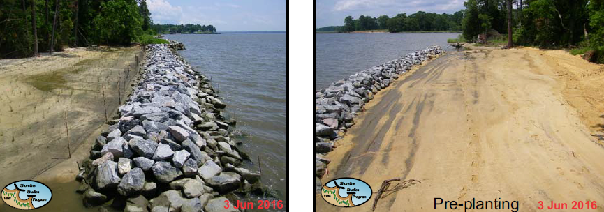 to minimize erosion and potential loss of archeological resources at Werowocomoco, the Virginia Institute of Marine Sciences built a living shoreline in 2016