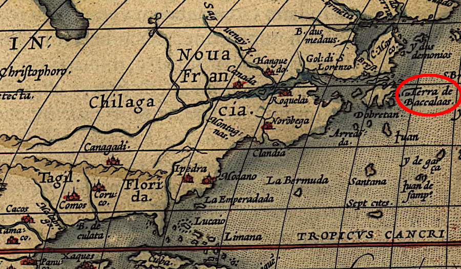 the Terra nova dos bacalhaos was the New land of cod, now Newfoundland