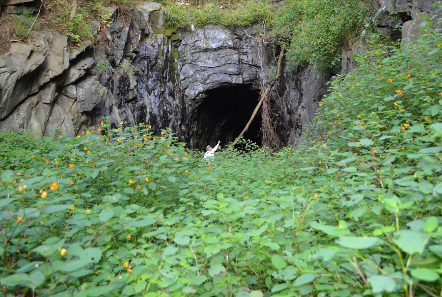 Nelson County recognized the Blue Ridge Tunnel could be repurposed into a unique tourist attraction