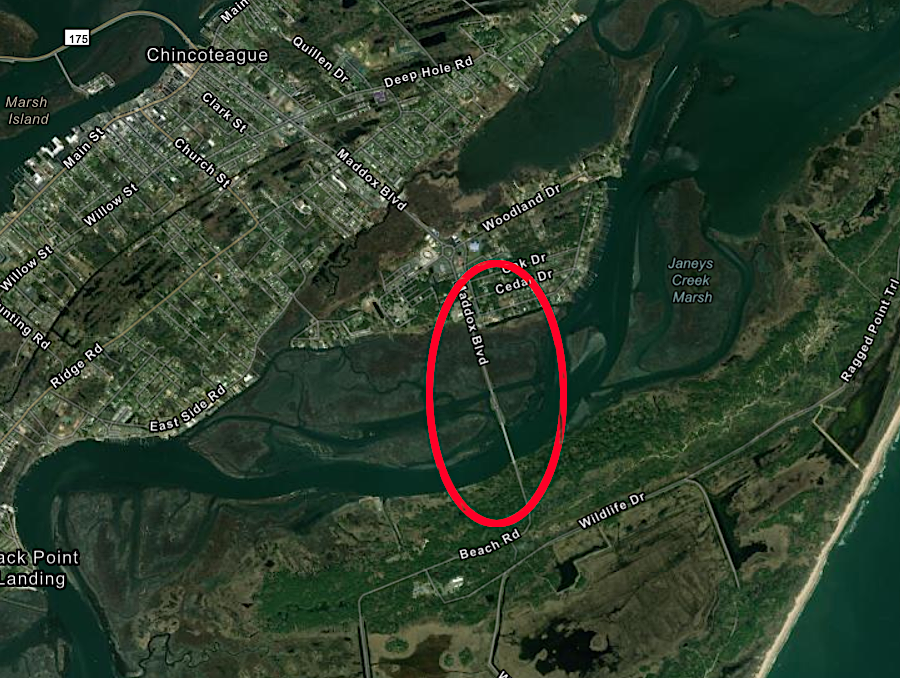 the bridge linking Chincoteague and Assateague islands was built in 1962