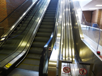 the Grundy WalMart, on the third floor, has escalators for people and special tracks for shopping carts