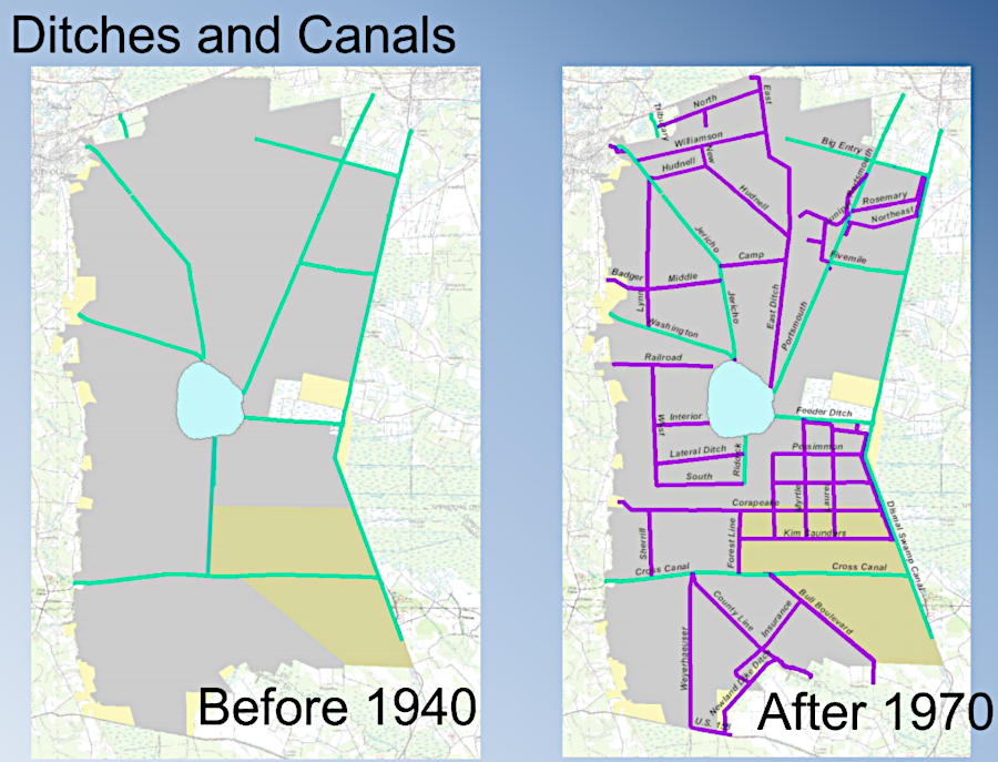 the last surge of timber removal after World War II included extensive ditch and road construction