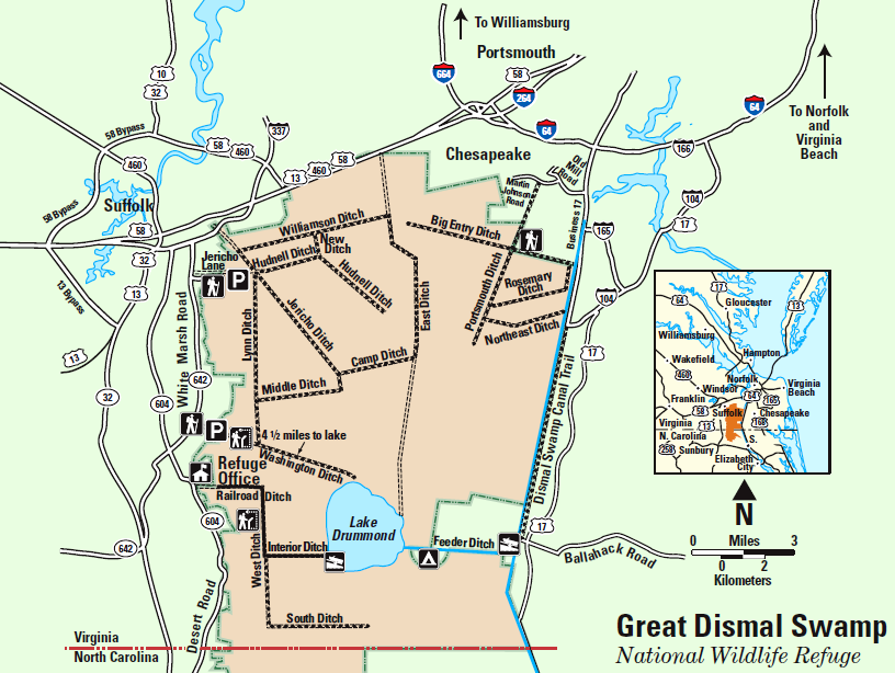 Dismal Swamp National Wildlife Refuge
