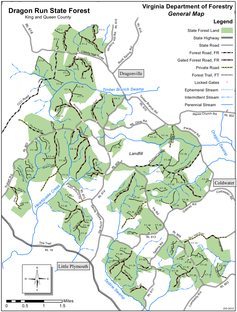 the Dragon Run State Forest in 2020