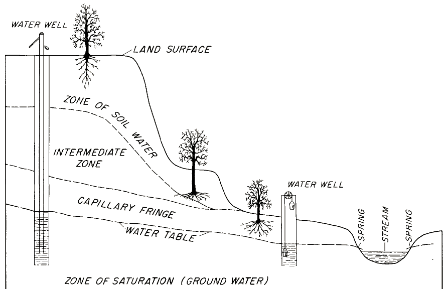 wells are drilled deep enough to get below the water table
