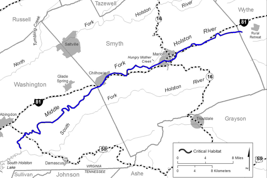 the US Fish and Wildlife Service proposed listing all 55 miles of the Middle Fork of the Holston River, from its headwaters to South Holston Lake, as critical habitat for the fluted kidneyshell and slabside pearlymussel, two of the increasingly rare southeastern mussel species that benefitted from removal of the ice plant dam in 2015