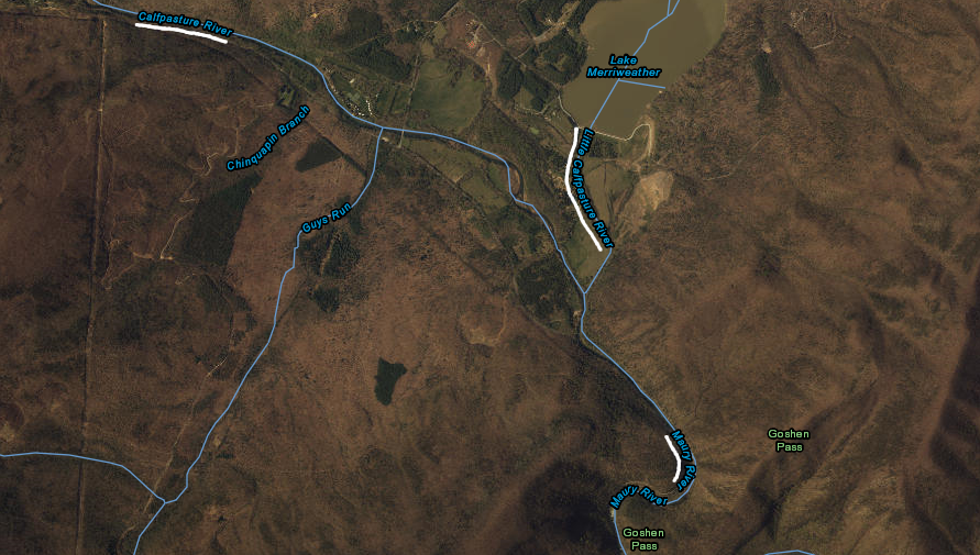 the confluence of the Calfpasture and Little Calfpasture rivers is the starting point of the Maury River