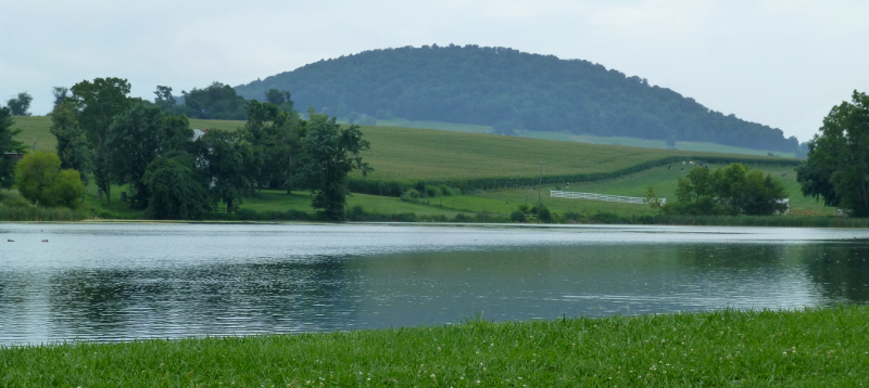 the 35-million year old magma chamber that created Mole Hill has cooled, and the spring that feeds Silver Lake provides 53°F water