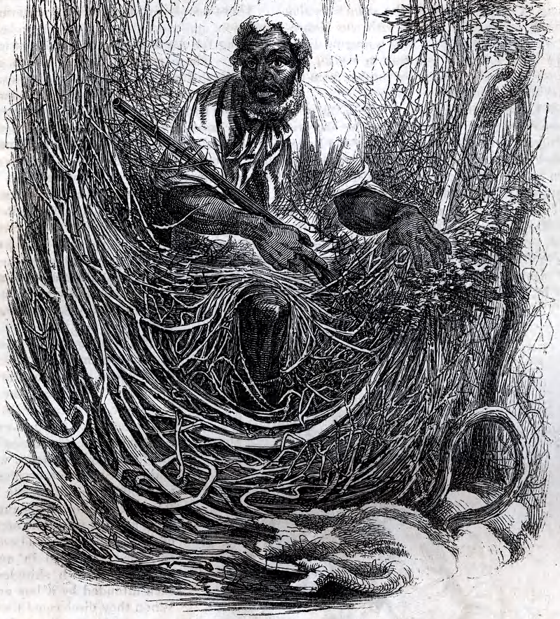 people who escaped slavery successfully avoided capture by living in the Great Dismal Swamp