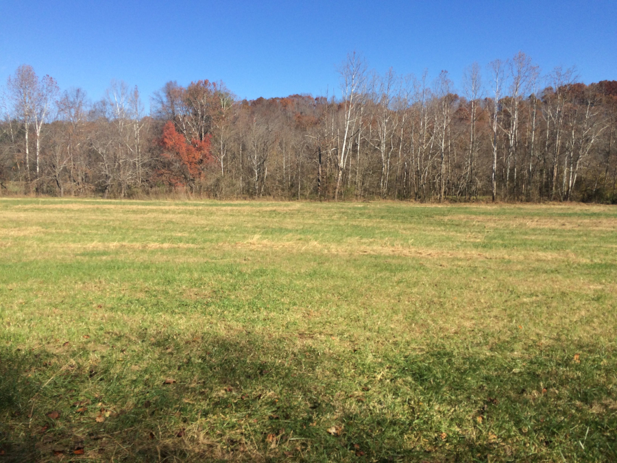 floodplain of the Piney River in Nelson County, near the confluence with the Tye River