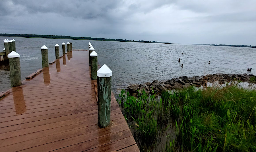 Carters Wharf, just downstream from the boundary of Westmoreland and Richmond counties