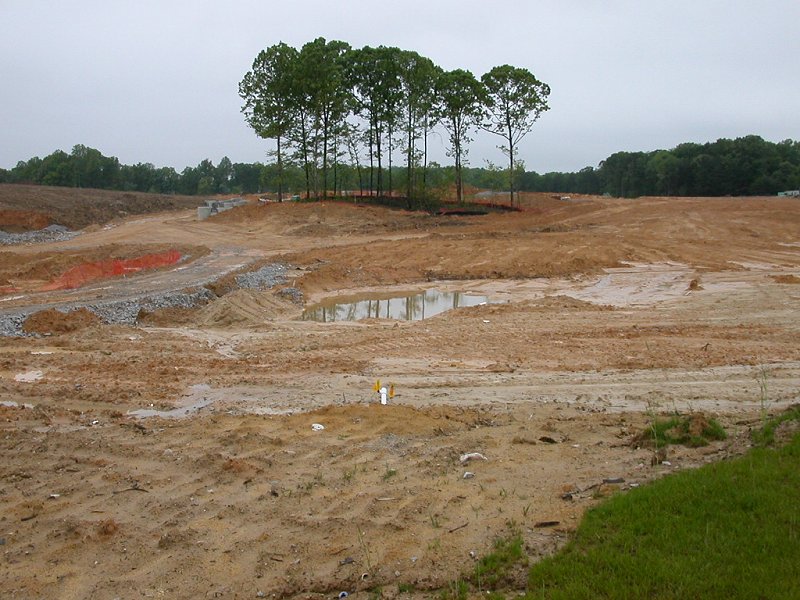 stripping vegetation from soil surface while developing land opposite McCoart Administrative Center (Prince William County)