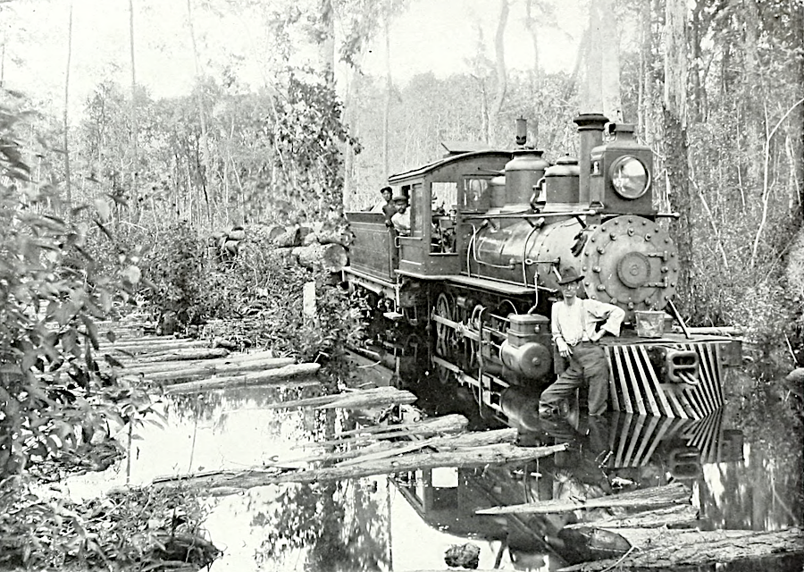 temporary rail lines were built through swamps to remove timber